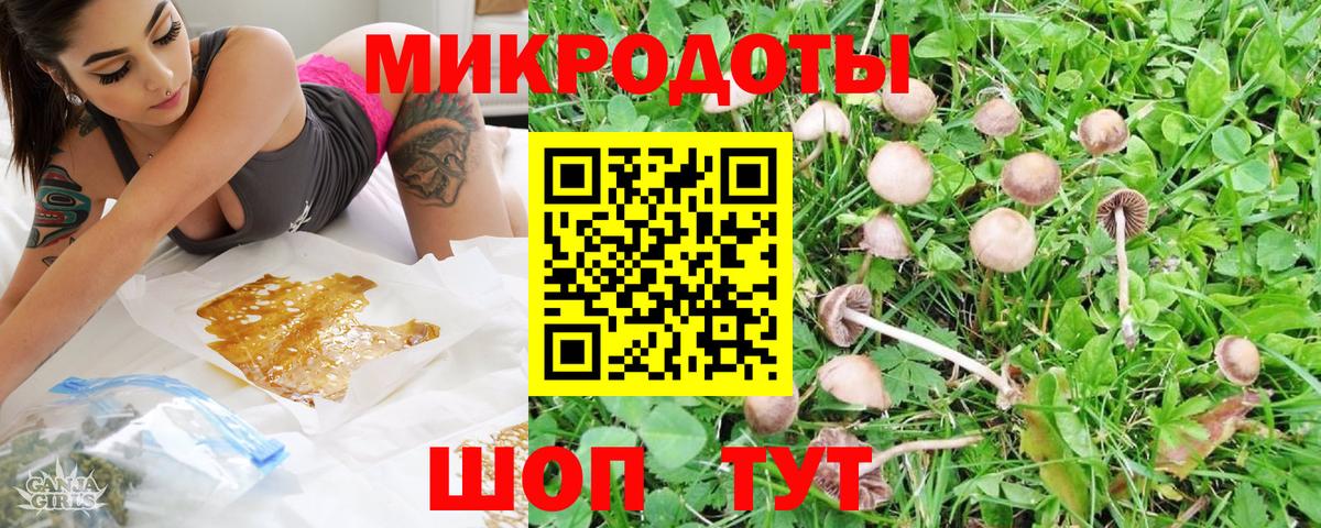 Псилоцибиновые грибы Psilocybine cubensis Орёл